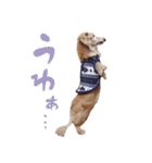 ぼくはとろ★（個別スタンプ：21）