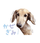 ぼくはとろ★（個別スタンプ：32）