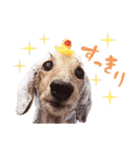 ぼくはとろ★（個別スタンプ：33）