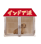 ぼくはとろ★（個別スタンプ：37）