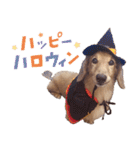 ぼくはとろ★（個別スタンプ：39）