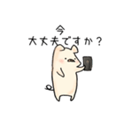 ぶたのこちゃん6〜敬語（個別スタンプ：6）