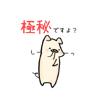 ぶたのこちゃん6〜敬語（個別スタンプ：19）