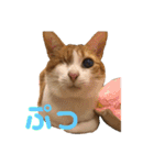 ありすとはやて（個別スタンプ：14）