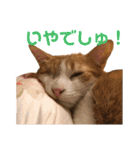 ありすとはやて（個別スタンプ：22）
