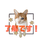 ありすとはやて（個別スタンプ：31）