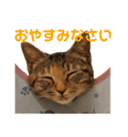 ありすとはやて（個別スタンプ：32）