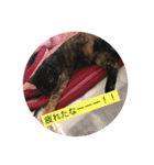 田辺さんちシリーズ1（個別スタンプ：6）