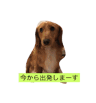 田辺さんちシリーズ1（個別スタンプ：9）