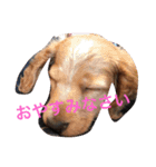 田辺さんちシリーズ1（個別スタンプ：12）