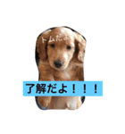 田辺さんちシリーズ1（個別スタンプ：13）