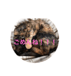 田辺さんちシリーズ1（個別スタンプ：14）