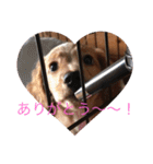 田辺さんちシリーズ1（個別スタンプ：15）