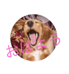 田辺さんちシリーズ1（個別スタンプ：20）