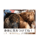 田辺さんちシリーズ1（個別スタンプ：21）