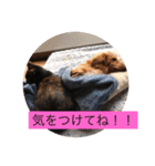 田辺さんちシリーズ1（個別スタンプ：24）