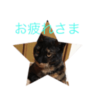 田辺さんちシリーズ1（個別スタンプ：26）