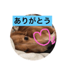 田辺さんちシリーズ1（個別スタンプ：27）