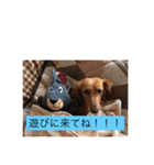田辺さんちシリーズ1（個別スタンプ：29）