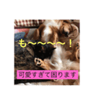田辺さんちシリーズ1（個別スタンプ：31）