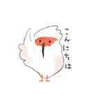 トキっぺちゃんとチっぺちゃん（個別スタンプ：1）