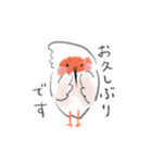 トキっぺちゃんとチっぺちゃん（個別スタンプ：2）