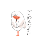 トキっぺちゃんとチっぺちゃん（個別スタンプ：15）