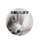 ノルの気持ちを丁寧語で（個別スタンプ：3）