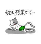 ねこぱんつレンジャー（個別スタンプ：37）