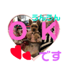ちょこちゃんのスタンプ2（個別スタンプ：5）