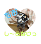 ちょこちゃんのスタンプ2（個別スタンプ：10）