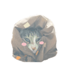 だんポコ（個別スタンプ：15）