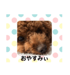 ティアラちん（個別スタンプ：5）