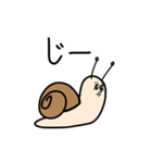 正真正銘カタツムリ（個別スタンプ：37）