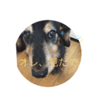 オレはリキ！（個別スタンプ：1）