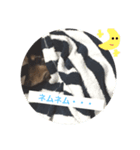 オレはリキ！（個別スタンプ：2）