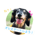 オレはリキ！（個別スタンプ：3）
