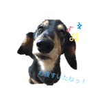 オレはリキ！（個別スタンプ：6）