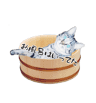 ちゃーしゅーめい（個別スタンプ：37）