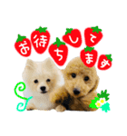 YUSHEROスタンプ（個別スタンプ：13）