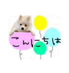 YUSHEROスタンプ（個別スタンプ：17）