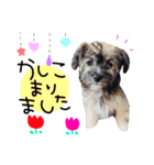 YUSHEROスタンプ（個別スタンプ：21）