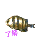 ヘンテコ魚魚魚（個別スタンプ：3）