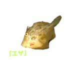 ヘンテコ魚魚魚（個別スタンプ：4）