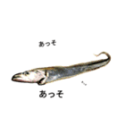 ヘンテコ魚魚魚（個別スタンプ：7）