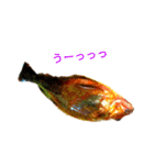ヘンテコ魚魚魚（個別スタンプ：9）