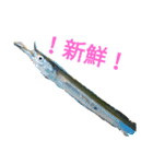 ヘンテコ魚魚魚（個別スタンプ：11）