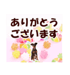 ミニチュアピンシャーの日常会話 Part3（個別スタンプ：8）