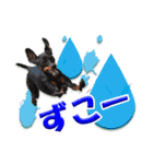 ミニチュアピンシャーの日常会話 Part3（個別スタンプ：18）