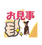 ミニチュアピンシャーの日常会話 Part3（個別スタンプ：21）
